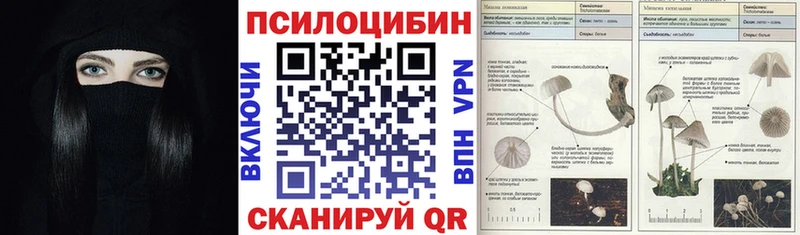 даркнет сайт  Опочка  Галлюциногенные грибы прущие грибы 
